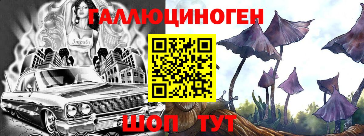Выборг  Псилоцибиновые грибы Magic Shrooms  Вход с VPN  Галлюциногенные грибы Psilocybe 